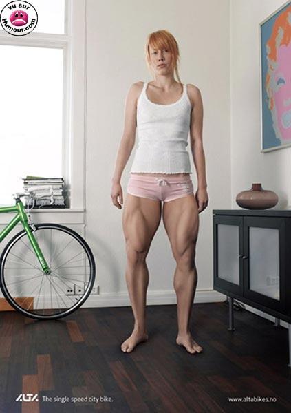 quelle musculature